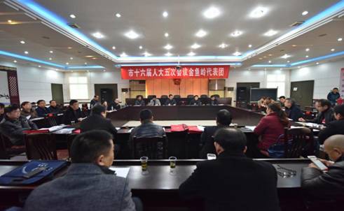 金鱼岭代表团4