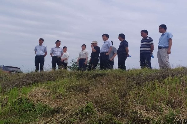 王育平2 (1)_副本.jpg
