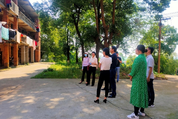 到湖桥东区现场查看_副本.jpg
