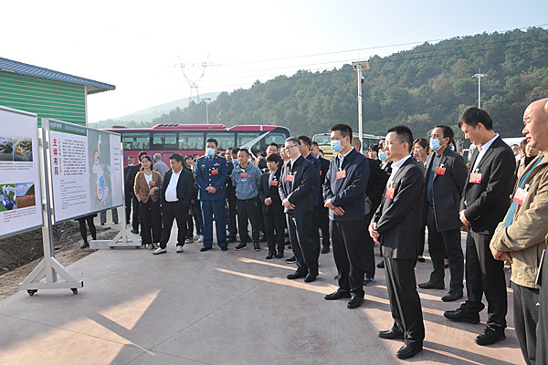 DSC_2415_副本.jpg